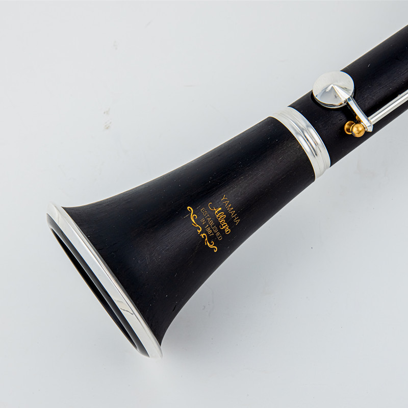 Japonia fabrycznie nowy profes – Musical Instrument Japan recenzja i cena